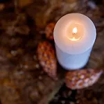 Ambassadeur 1 By Interhome * Villars-sur-Ollon