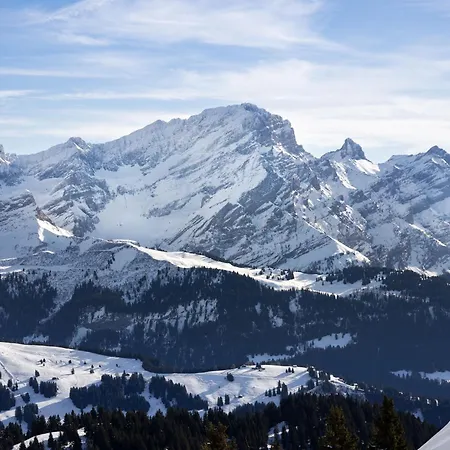 Ambassadeur 1 By Interhome Villars-sur-Ollon