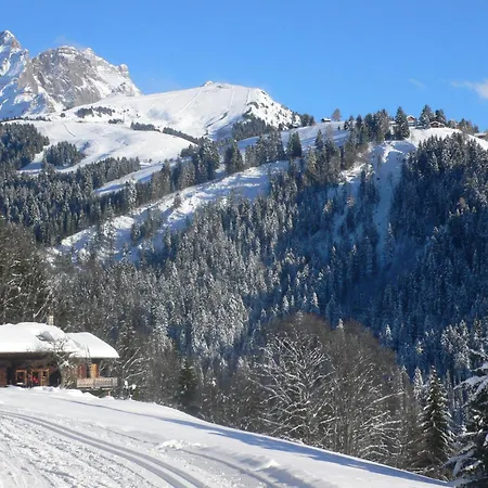 Apartman Ambassadeur 1 By Interhome Villars-sur-Ollon